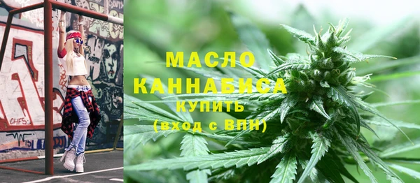 МДПВ Инта