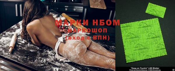 гашик Аркадак
