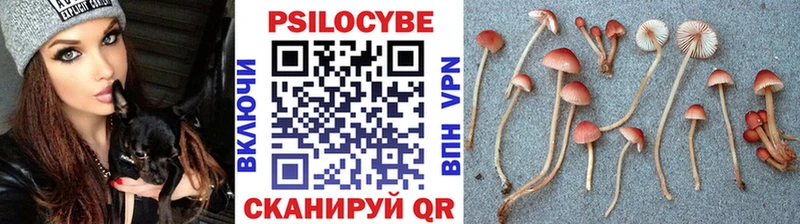 Псилоцибиновые грибы MAGIC MUSHROOMS  мега tor  нарко площадка наркотические препараты  Волжский 