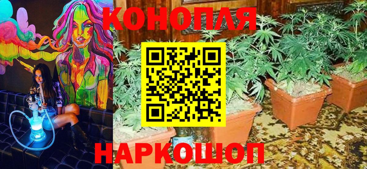 Бошки марихуана Amnesia  Шишки марихуана индика  Вход с VPN  Волжский 